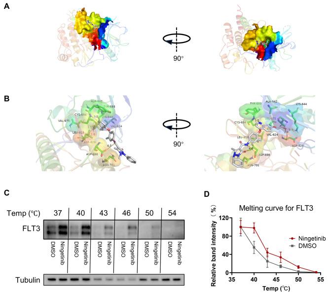 https://cdn.ncbi.nlm.nih.gov/pmc/blobs/235a/11229190/b41ed77024ba/12964_2024_1729_Fig3_HTML.jpg