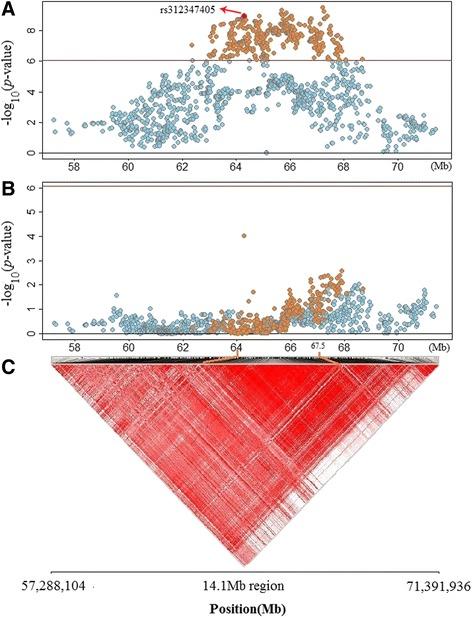 https://cdn.ncbi.nlm.nih.gov/pmc/blobs/235a/4521446/42168195c072/12864_2015_1795_Fig3_HTML.jpg