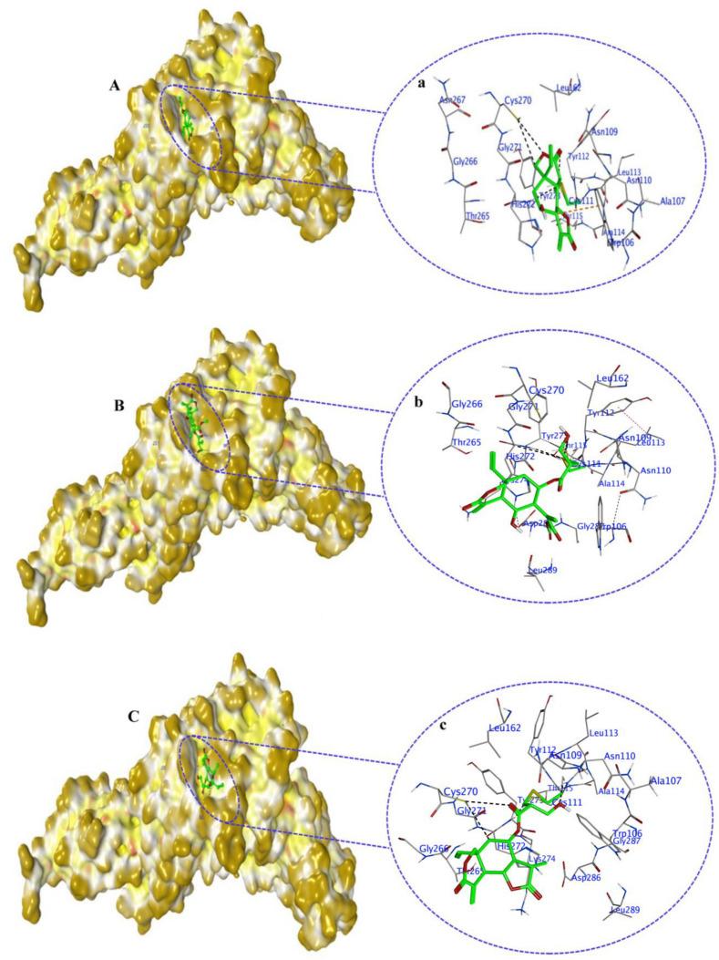 https://cdn.ncbi.nlm.nih.gov/pmc/blobs/235b/10934083/94b17a603de6/molecules-29-00998-g008.jpg