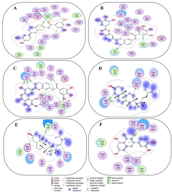 https://cdn.ncbi.nlm.nih.gov/pmc/blobs/235b/10934083/ff0f4db1dc1f/molecules-29-00998-g005.jpg