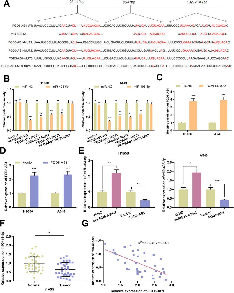 https://cdn.ncbi.nlm.nih.gov/pmc/blobs/235c/7876571/808735144b63/10.1177_1533033821990007-fig3.jpg