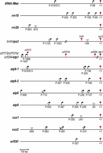 https://cdn.ncbi.nlm.nih.gov/pmc/blobs/235e/546163/9386ac49009c/gki179f6.jpg