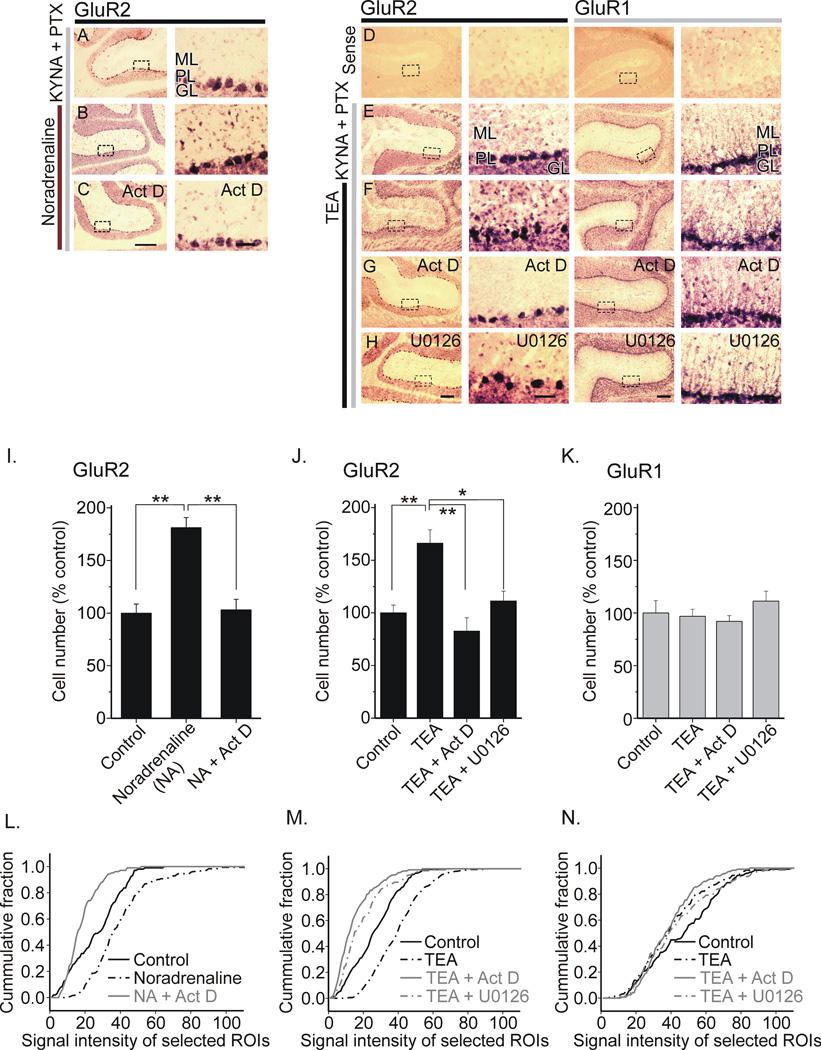 https://cdn.ncbi.nlm.nih.gov/pmc/blobs/235f/3140064/3409ea6247b7/nihms165637f7.jpg
