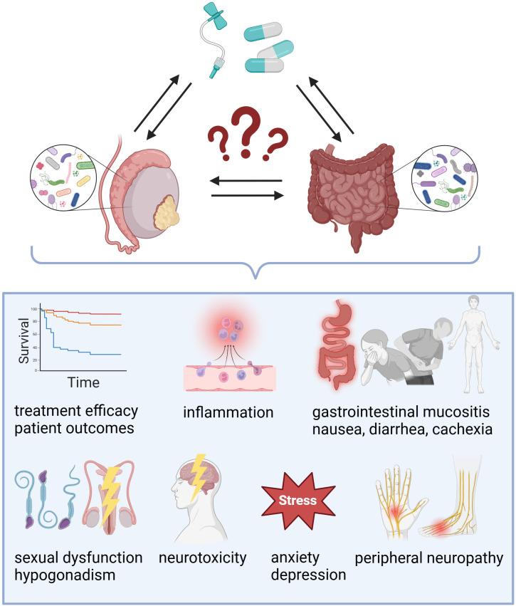 https://cdn.ncbi.nlm.nih.gov/pmc/blobs/2360/11754299/997aeb623e5b/fcimb-14-1529871-g002.jpg