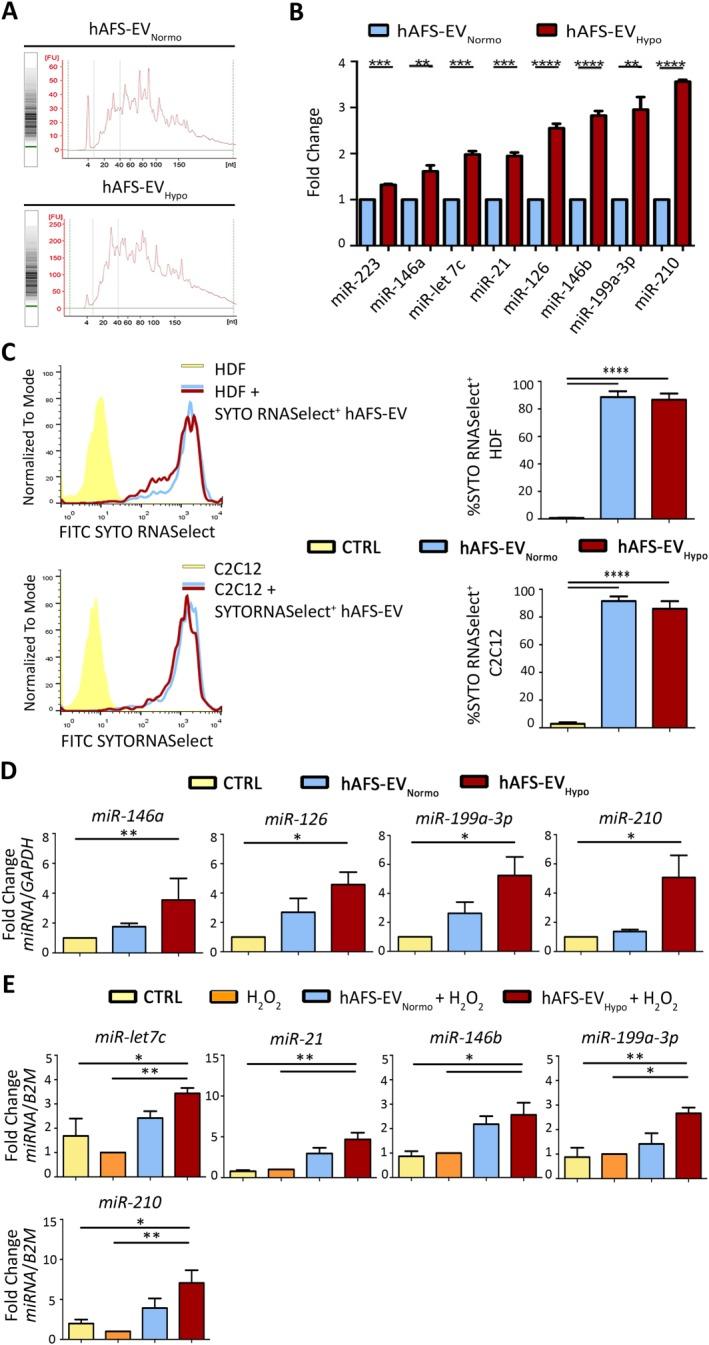 https://cdn.ncbi.nlm.nih.gov/pmc/blobs/2360/5442724/9ff91afe5686/SCT3-6-1340-g006.jpg