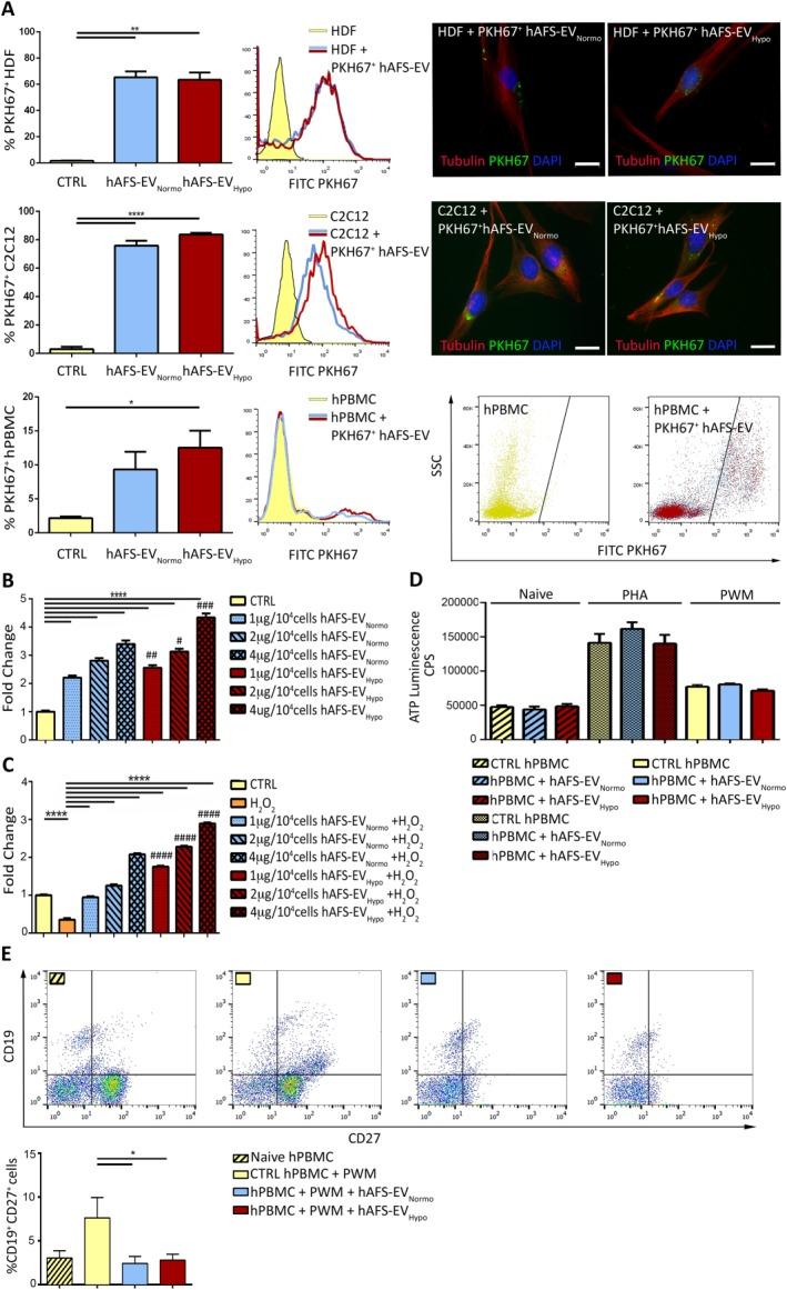 https://cdn.ncbi.nlm.nih.gov/pmc/blobs/2360/5442724/a38db2967dec/SCT3-6-1340-g003.jpg