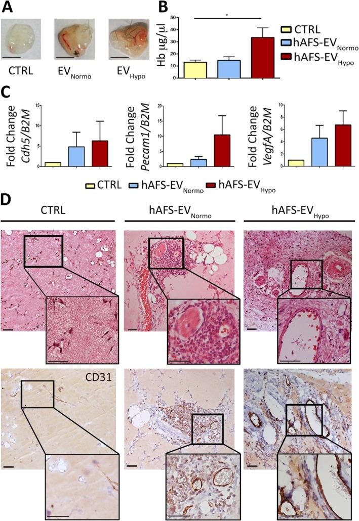 https://cdn.ncbi.nlm.nih.gov/pmc/blobs/2360/5442724/b21dad36ab09/SCT3-6-1340-g004.jpg