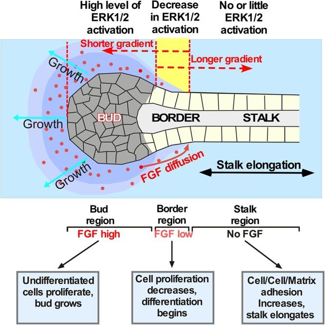 https://cdn.ncbi.nlm.nih.gov/pmc/blobs/2362/6546953/eb0d92e76406/fgene-10-00362-g003.jpg