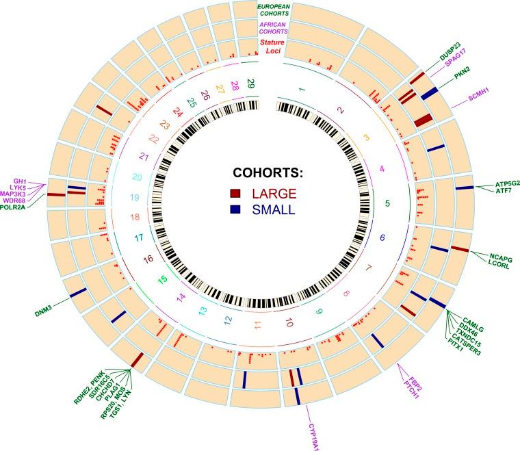 https://cdn.ncbi.nlm.nih.gov/pmc/blobs/2364/4502373/13210e133bff/1391f4.jpg