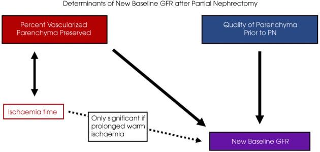 https://cdn.ncbi.nlm.nih.gov/pmc/blobs/2366/10087004/e4b7830a3629/BJU-131-165-g002.jpg