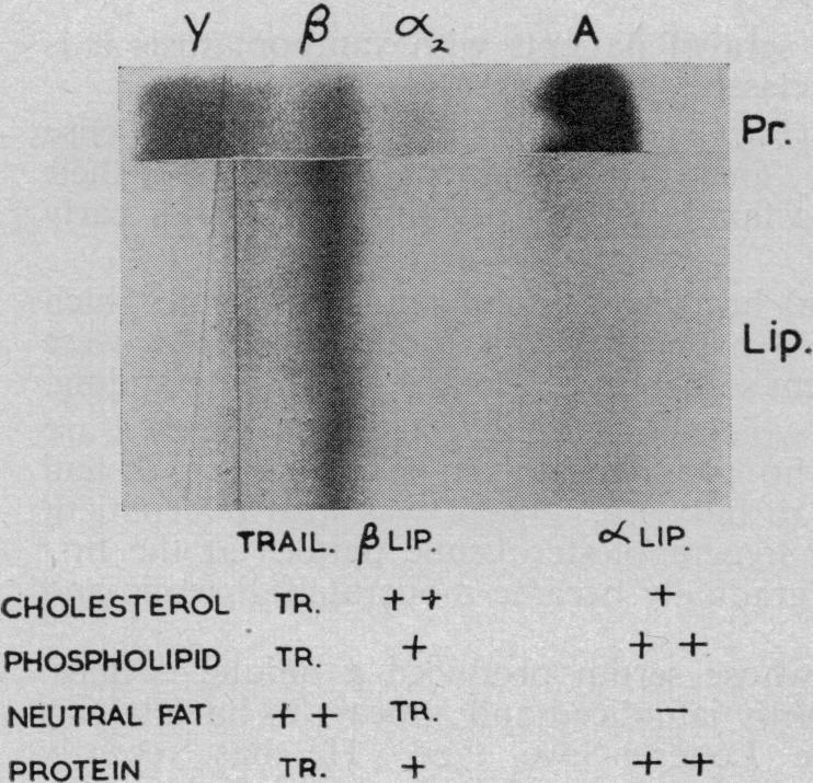 https://cdn.ncbi.nlm.nih.gov/pmc/blobs/2366/1889264/e88d74d54701/procrsmed00376-0137-a.jpg
