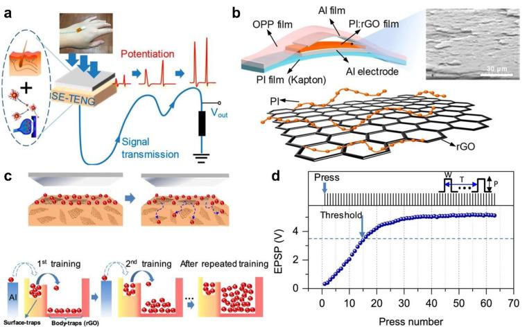 https://cdn.ncbi.nlm.nih.gov/pmc/blobs/2366/8840436/16febda2a99f/sensors-22-00975-g011.jpg