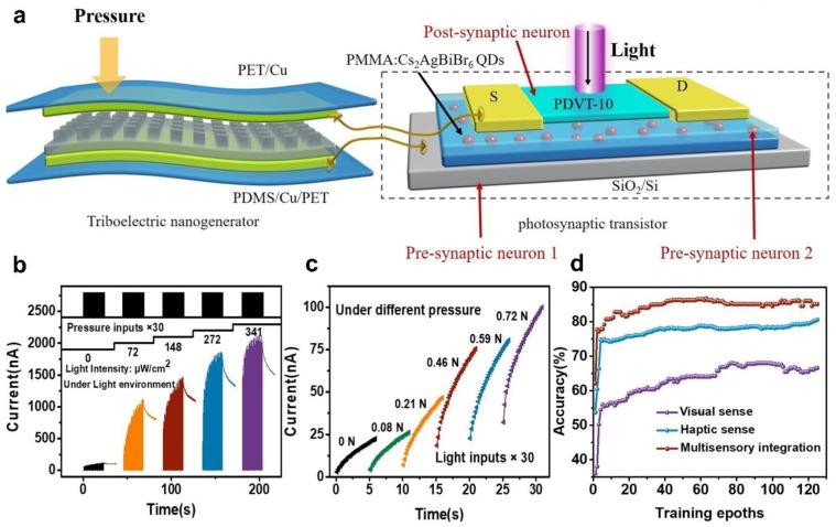 https://cdn.ncbi.nlm.nih.gov/pmc/blobs/2366/8840436/1b375bb8ca10/sensors-22-00975-g009.jpg
