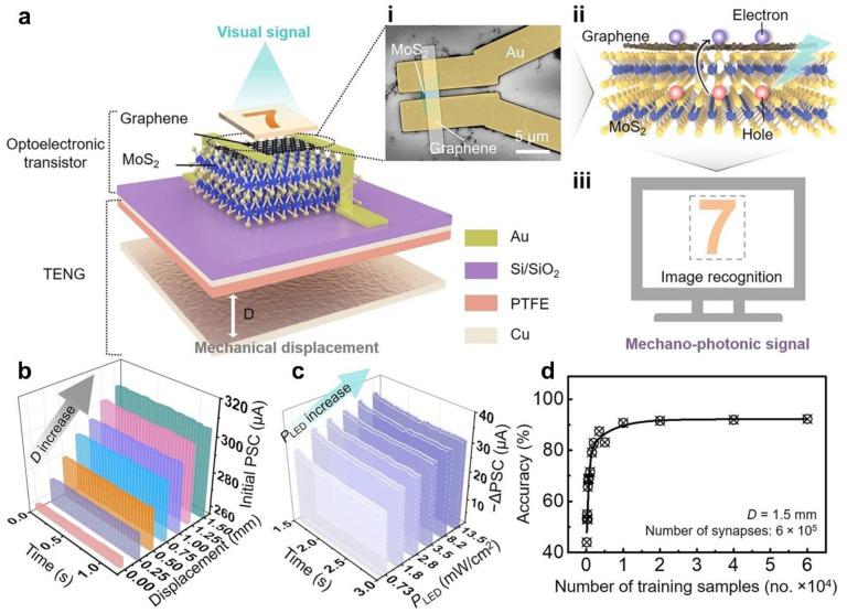 https://cdn.ncbi.nlm.nih.gov/pmc/blobs/2366/8840436/8757a2b30fb9/sensors-22-00975-g008.jpg