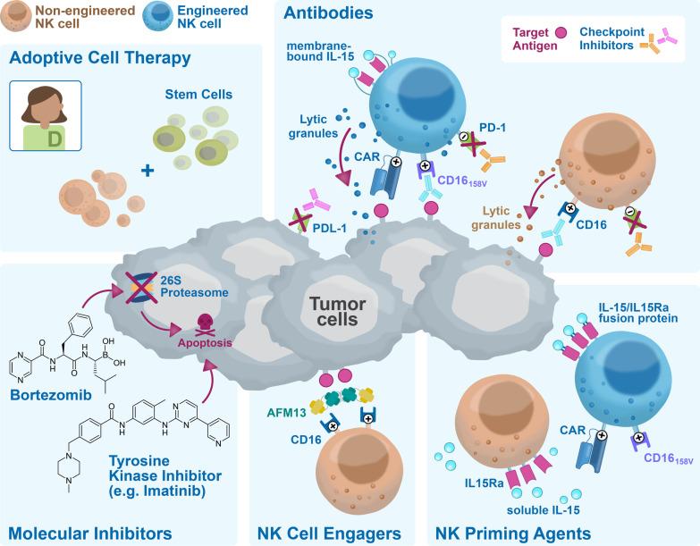 https://cdn.ncbi.nlm.nih.gov/pmc/blobs/2366/9644572/2c20b2db63d3/13045_2022_1382_Fig6_HTML.jpg