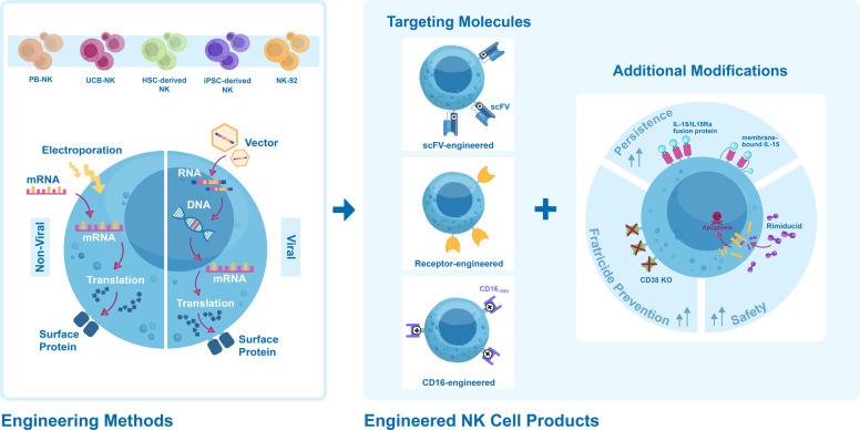 https://cdn.ncbi.nlm.nih.gov/pmc/blobs/2366/9644572/ce9c0ef3e91c/13045_2022_1382_Fig4_HTML.jpg