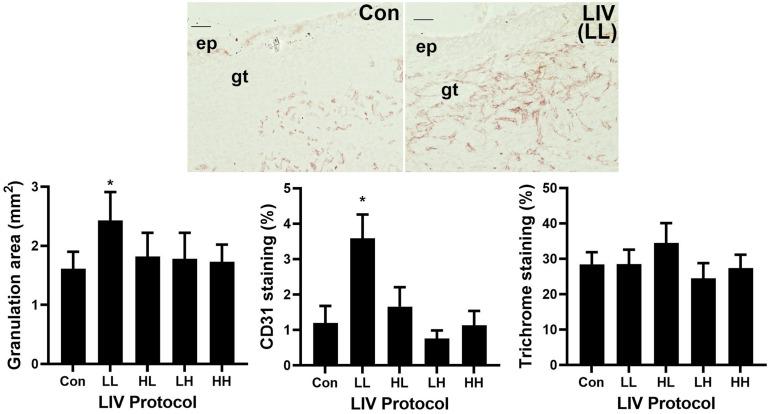 https://cdn.ncbi.nlm.nih.gov/pmc/blobs/236a/7985330/c46a8cc97a37/fbioe-09-654920-g002.jpg