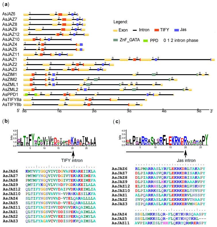 https://cdn.ncbi.nlm.nih.gov/pmc/blobs/236c/10298640/781dd3f463eb/ijms-24-09872-g003.jpg
