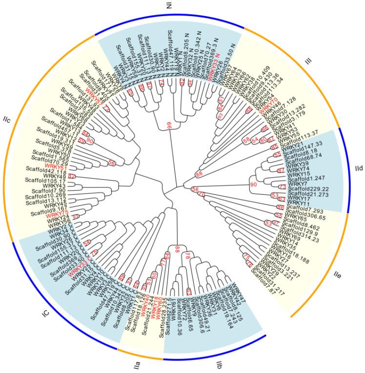 https://cdn.ncbi.nlm.nih.gov/pmc/blobs/236c/10298640/9a6a3c8ae2a8/ijms-24-09872-g006.jpg