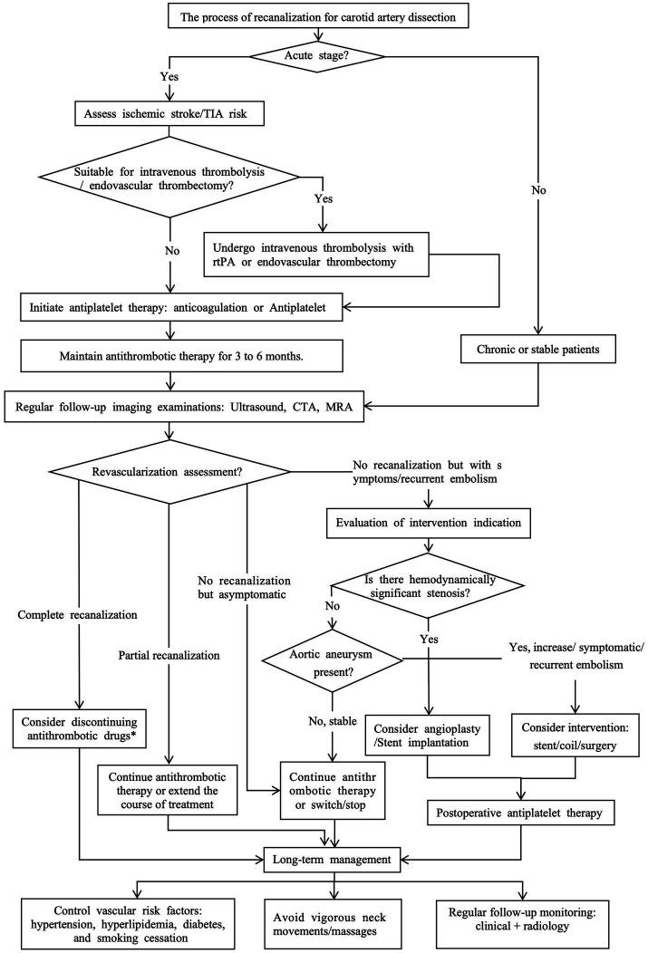 https://cdn.ncbi.nlm.nih.gov/pmc/blobs/236c/12282257/192df236fcde/fneur-16-1624698-g001.jpg