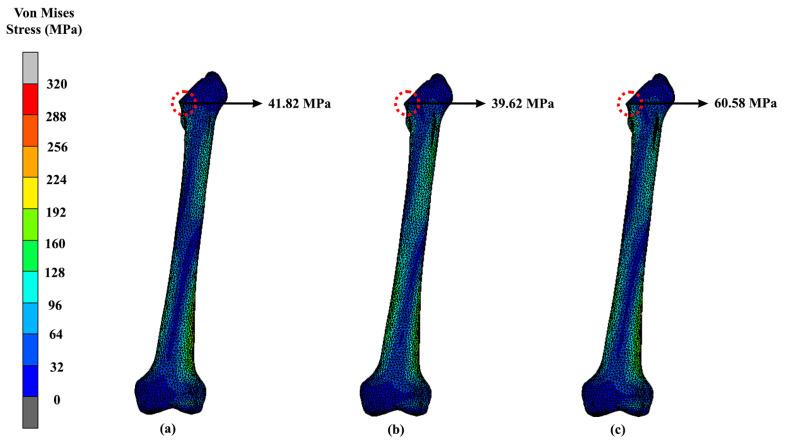 https://cdn.ncbi.nlm.nih.gov/pmc/blobs/236d/10179376/75a7f65c531e/materials-16-03298-g008.jpg