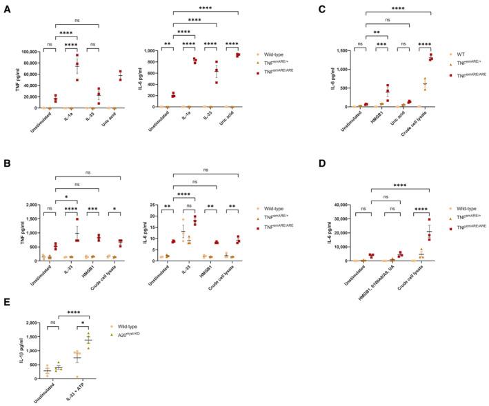https://cdn.ncbi.nlm.nih.gov/pmc/blobs/236d/10565626/73217f651a58/EMMM-15-e17691-g012.jpg