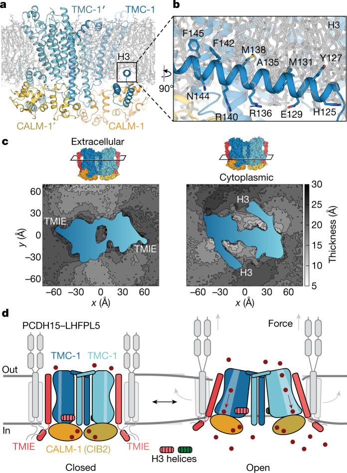 https://cdn.ncbi.nlm.nih.gov/pmc/blobs/2374/9605866/091579c5db78/41586_2022_5314_Fig5_HTML.jpg