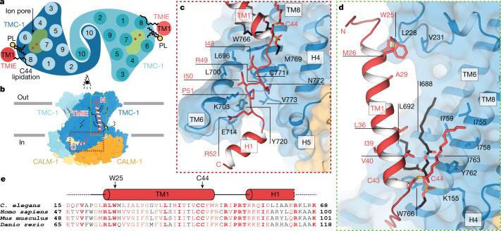 https://cdn.ncbi.nlm.nih.gov/pmc/blobs/2374/9605866/6144eac7ff95/41586_2022_5314_Fig2_HTML.jpg