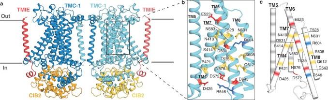https://cdn.ncbi.nlm.nih.gov/pmc/blobs/2374/9605866/62f358e184dd/41586_2022_5314_Fig13_ESM.jpg