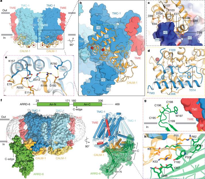 https://cdn.ncbi.nlm.nih.gov/pmc/blobs/2374/9605866/85af8d86969b/41586_2022_5314_Fig3_HTML.jpg