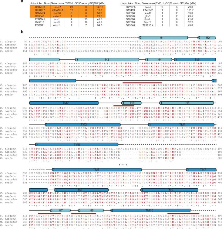 https://cdn.ncbi.nlm.nih.gov/pmc/blobs/2374/9605866/c47dbf9e39df/41586_2022_5314_Fig7_ESM.jpg