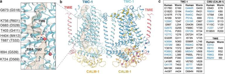 https://cdn.ncbi.nlm.nih.gov/pmc/blobs/2374/9605866/c503513eee23/41586_2022_5314_Fig12_ESM.jpg