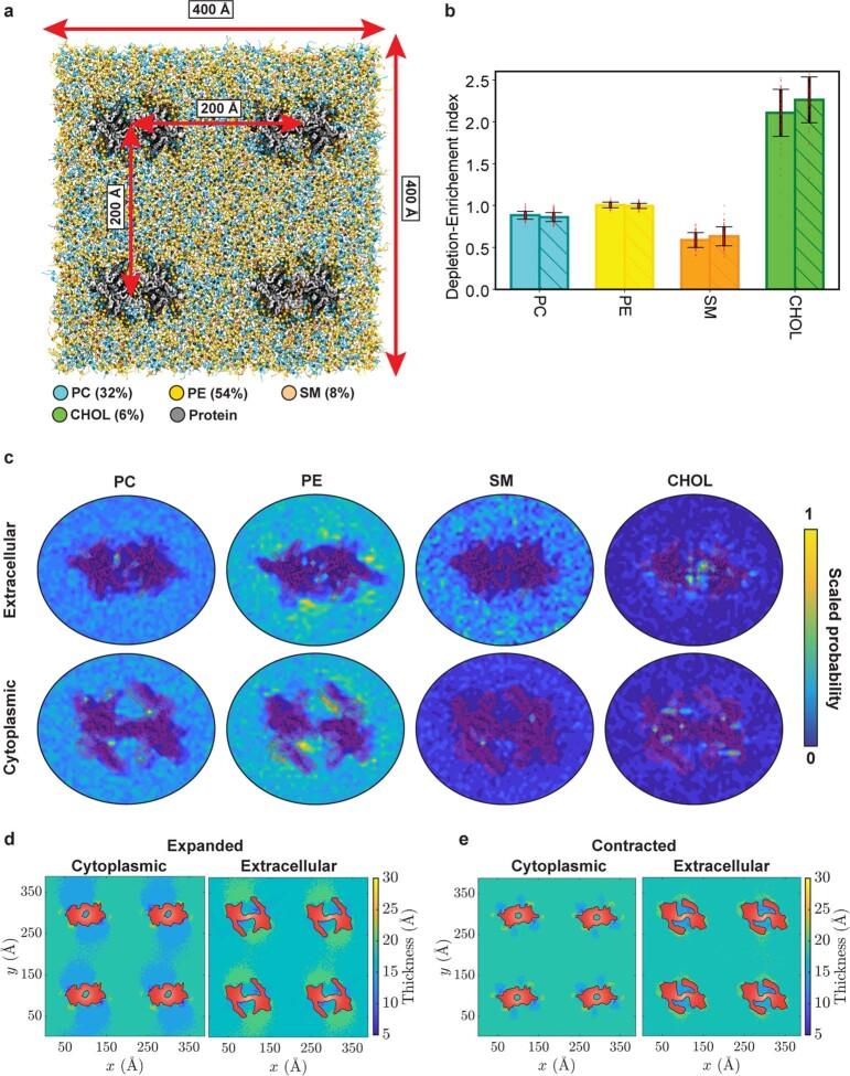 https://cdn.ncbi.nlm.nih.gov/pmc/blobs/2374/9605866/ccaee7ddee6b/41586_2022_5314_Fig15_ESM.jpg