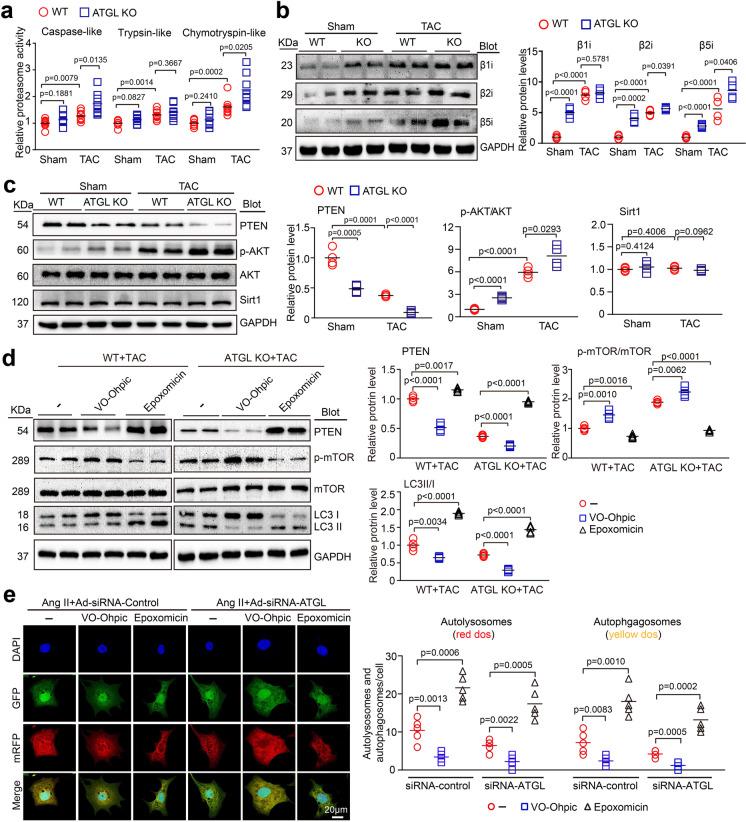 https://cdn.ncbi.nlm.nih.gov/pmc/blobs/2375/10547847/5610e60528dd/10565_2022_9699_Fig6_HTML.jpg