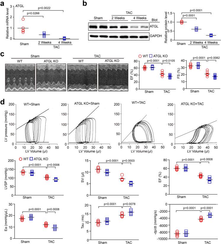 https://cdn.ncbi.nlm.nih.gov/pmc/blobs/2375/10547847/7c133ecf8e3b/10565_2022_9699_Fig1_HTML.jpg
