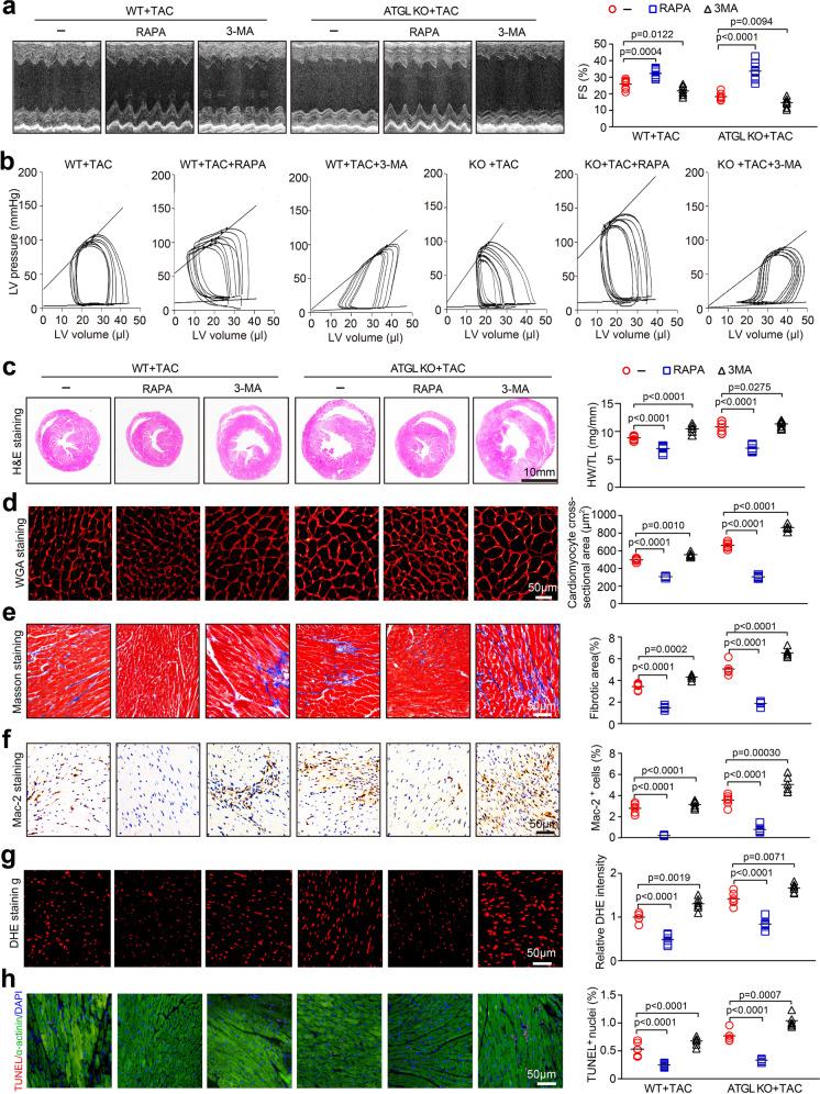 https://cdn.ncbi.nlm.nih.gov/pmc/blobs/2375/10547847/fc852716cb0a/10565_2022_9699_Fig5_HTML.jpg