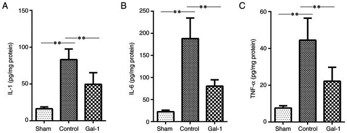 https://cdn.ncbi.nlm.nih.gov/pmc/blobs/2375/10928996/e0879ed76ebd/etm-27-04-12442-g04.jpg