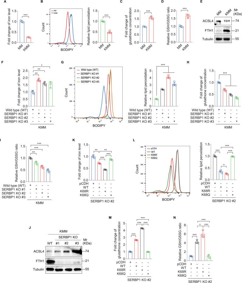 https://cdn.ncbi.nlm.nih.gov/pmc/blobs/2375/10959363/ab19274dc705/ppat.1012082.g002.jpg