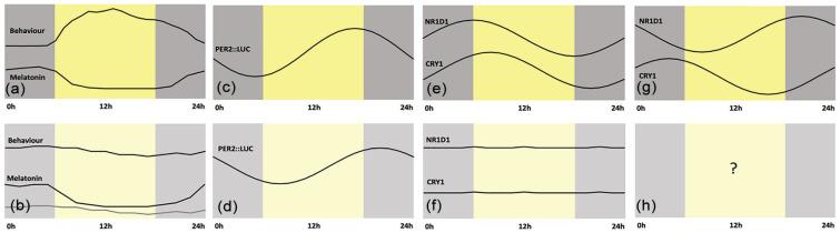 https://cdn.ncbi.nlm.nih.gov/pmc/blobs/2376/7924105/dae49654ef3d/10.1177_0748730421992587-fig2.jpg