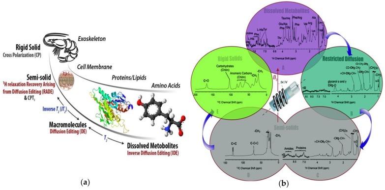 https://cdn.ncbi.nlm.nih.gov/pmc/blobs/2378/6027203/3f82531c8713/metabolites-08-00035-g004.jpg