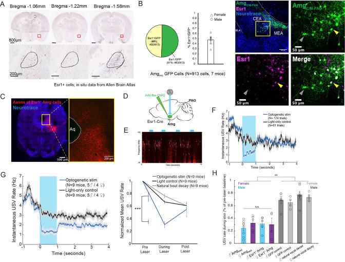 https://cdn.ncbi.nlm.nih.gov/pmc/blobs/2379/10353859/1ecb7e0bcb3f/elife-85547-fig3.jpg