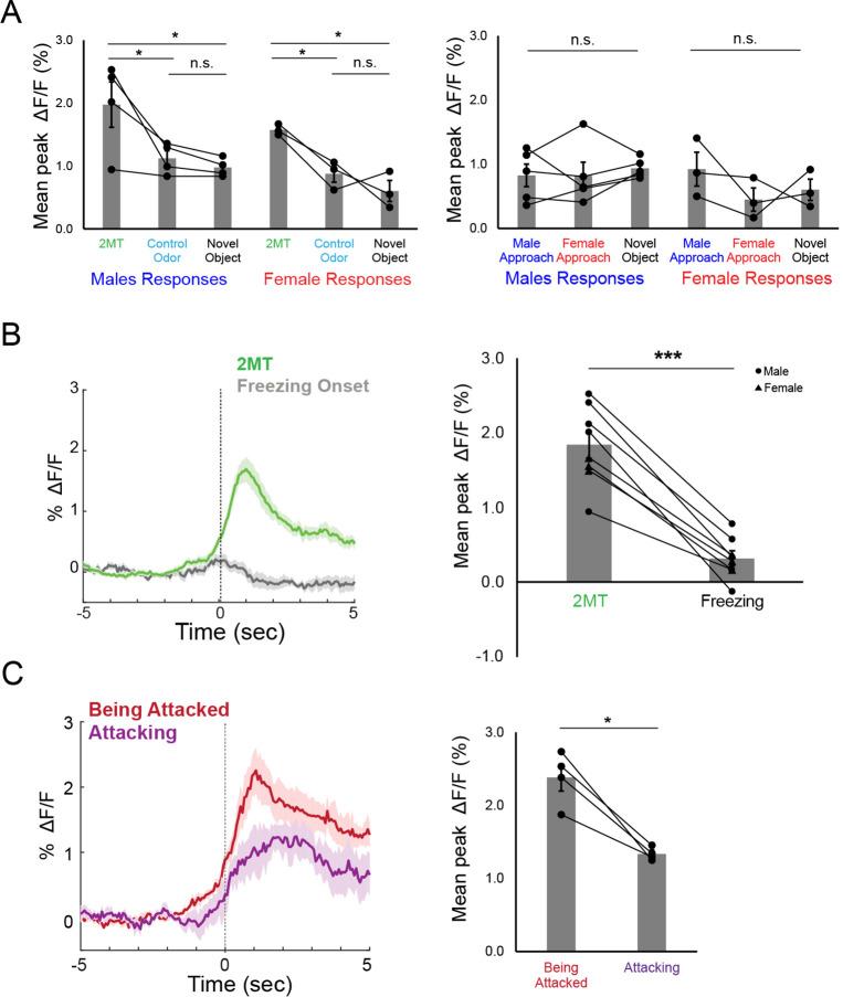 https://cdn.ncbi.nlm.nih.gov/pmc/blobs/2379/10353859/a3e2ba6946f9/elife-85547-fig1-figsupp1.jpg