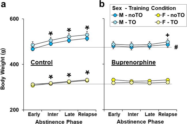https://cdn.ncbi.nlm.nih.gov/pmc/blobs/237b/7786148/20b7201295fa/213_2020_5750_Fig7_HTML.jpg
