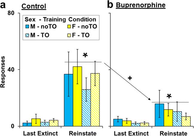 https://cdn.ncbi.nlm.nih.gov/pmc/blobs/237b/7786148/fa602e351d54/213_2020_5750_Fig6_HTML.jpg
