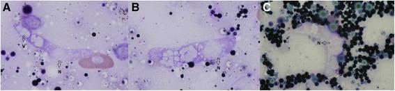 https://cdn.ncbi.nlm.nih.gov/pmc/blobs/237f/4298996/9873459c6ed3/13071_2014_555_Fig5_HTML.jpg