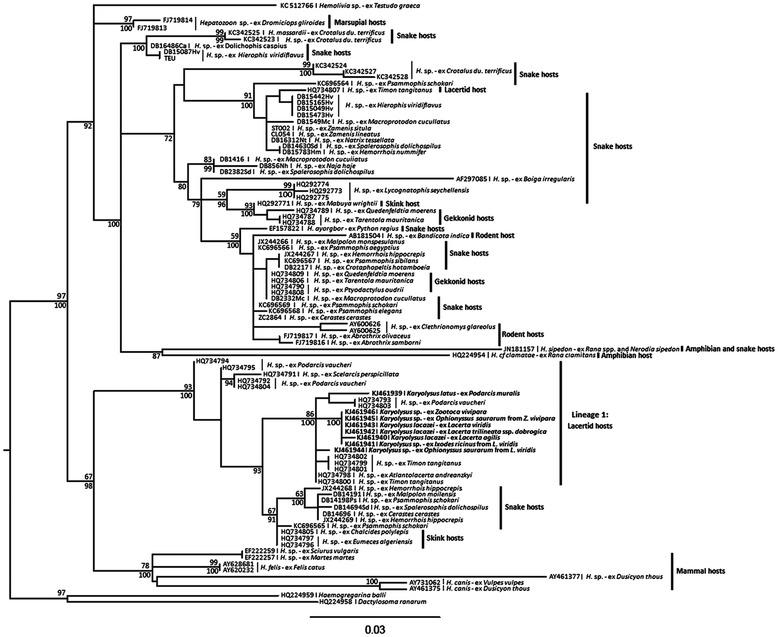 https://cdn.ncbi.nlm.nih.gov/pmc/blobs/237f/4298996/a13e91d2d963/13071_2014_555_Fig6_HTML.jpg