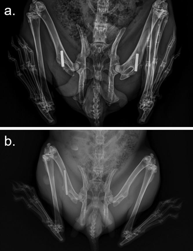 https://cdn.ncbi.nlm.nih.gov/pmc/blobs/237f/6682075/d48d635c263d/ao-2019-00898z_0007.jpg