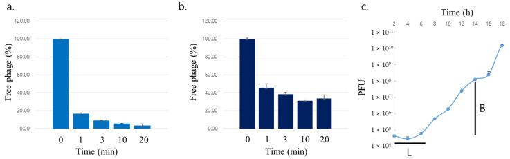 https://cdn.ncbi.nlm.nih.gov/pmc/blobs/2381/9404880/74247abc4fdb/antibiotics-11-01041-g004.jpg