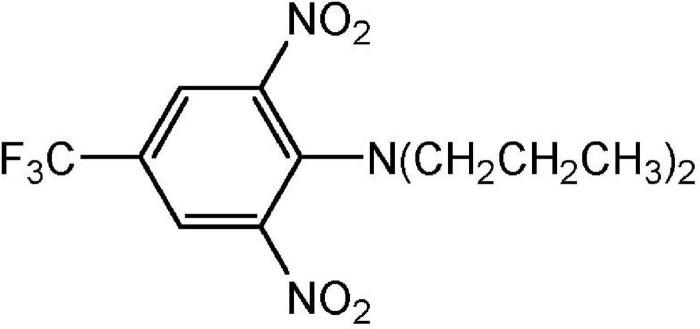 https://cdn.ncbi.nlm.nih.gov/pmc/blobs/2382/8027333/7be1ea5de7cf/fpls-12-634018-g001.jpg
