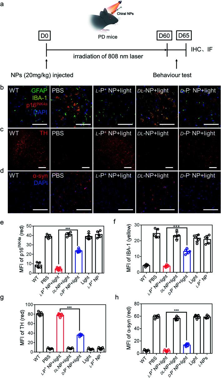 https://cdn.ncbi.nlm.nih.gov/pmc/blobs/2382/9172567/81c3edfa8dc1/d2sc01662a-f5.jpg